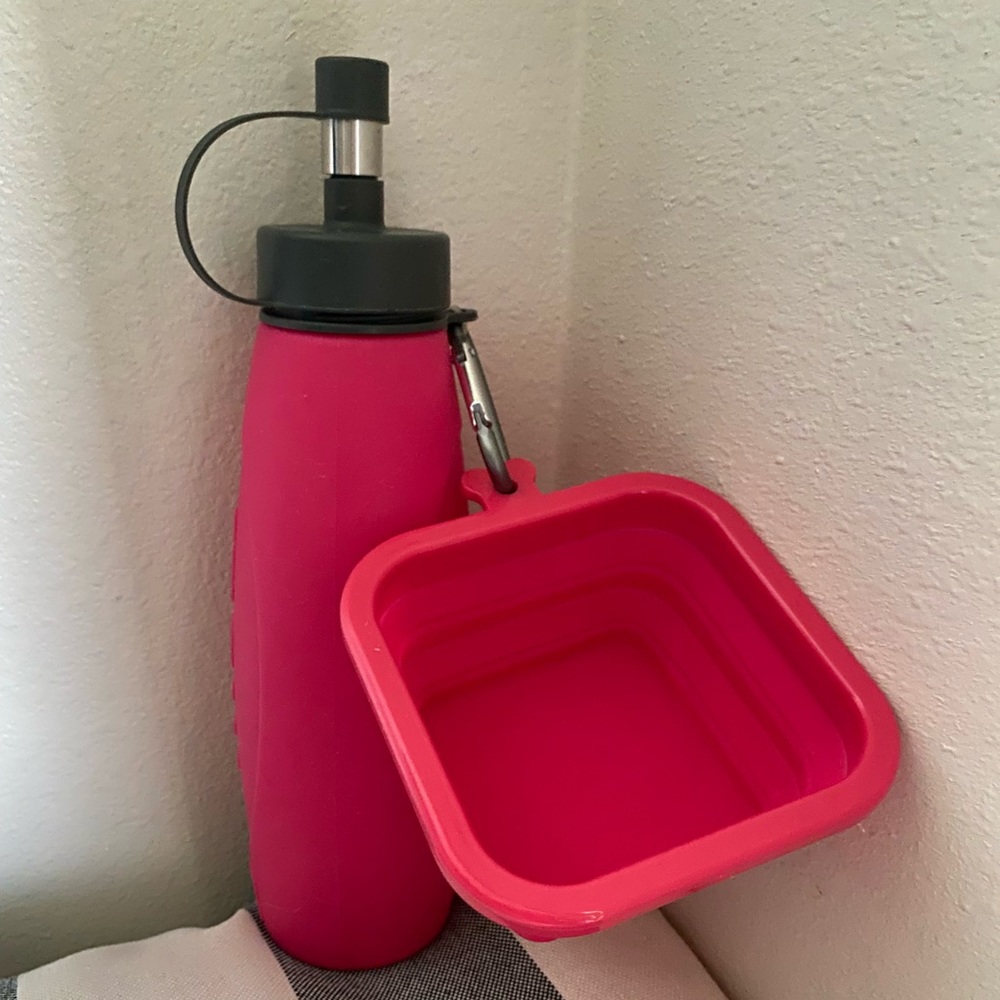 Bottle & plate for dog